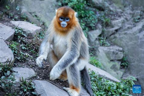 玉合公園怎麼樣 有沒有考慮到遊客的休憩與觀光體驗